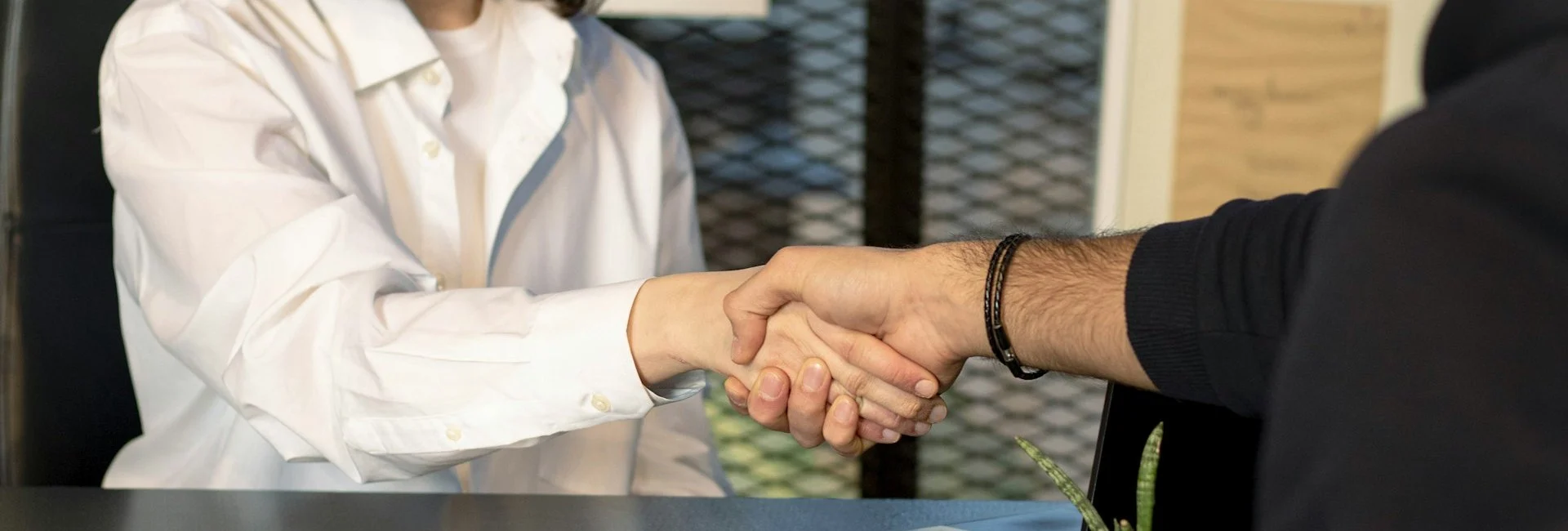 Doctor shaking hands with a client at her desk